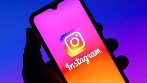 What are the causes of the Instagram app crashing on the iPhone?